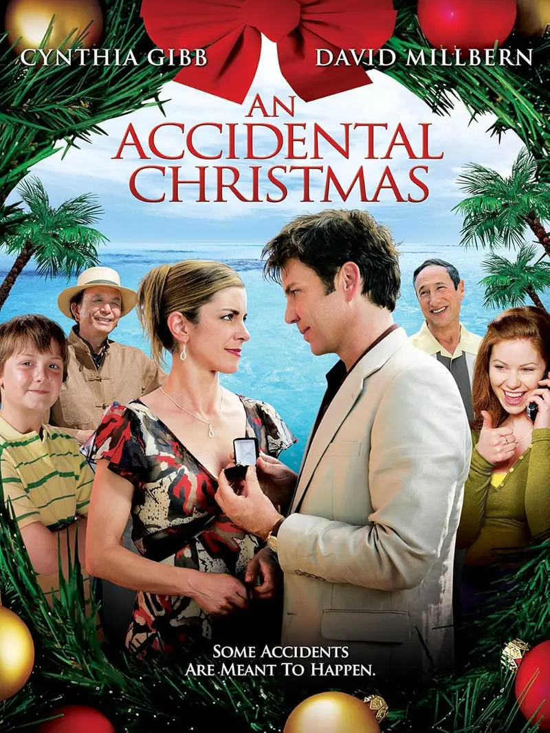 An Accidental Christmas (2007) - Cynthia Gibb 1