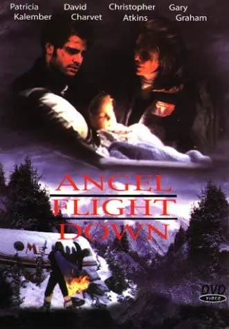Angel Flight Down (1996) - Christopher Atkins  Dvd 1