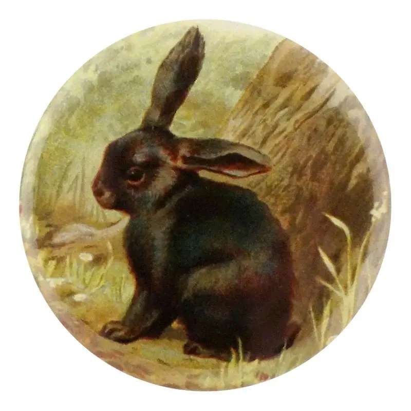 Black Bunny    - Mirror & Button Pins | John Derian 1