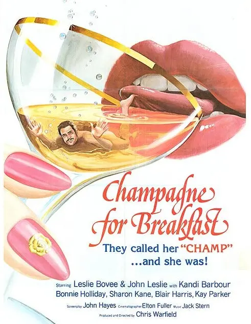 Champagne For Breakfast (1980) -  Lesllie Bovee  Dvd 1