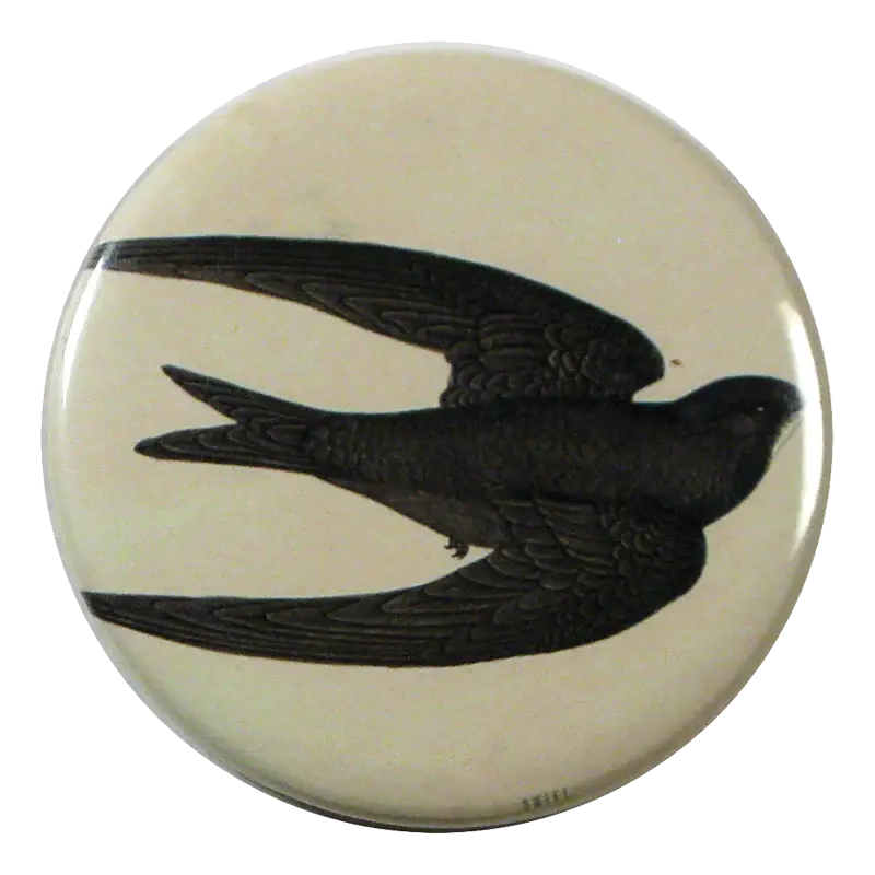 Swift Bird - Mirror & Button Pins | John Derian 1