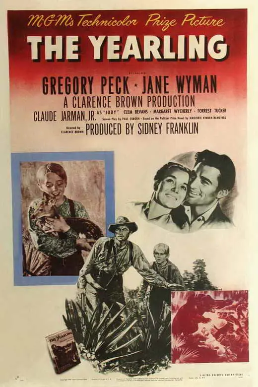 The Yearling (1946) - Gregory Peck  Dvd 1