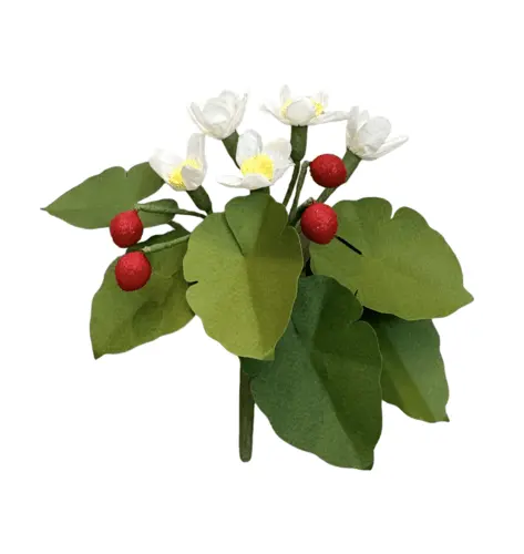 Wild Strawberries | The Green Vase 1